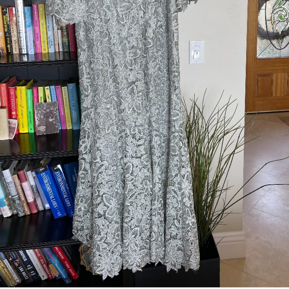 TERI JON LACE GOWN - Picture 5 of 6